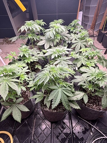 Growreport Bild 6