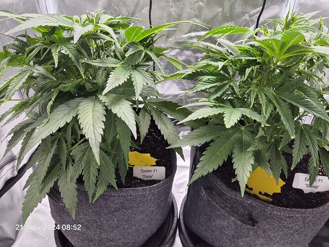 Growreport Bild 8