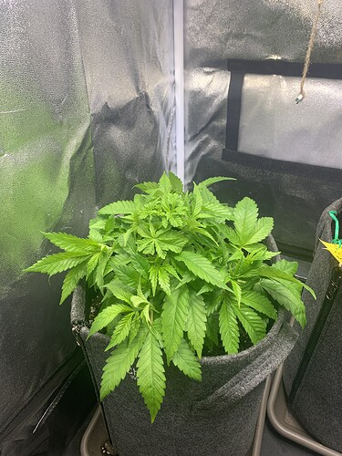 Growreport Bild 6