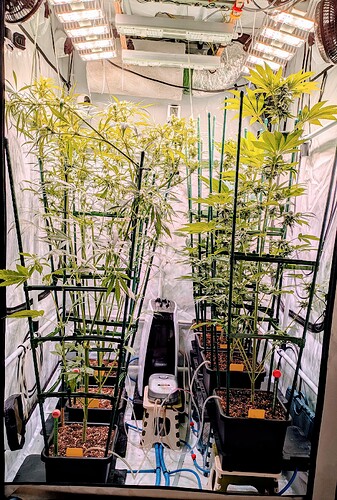 Growreport Bild 4