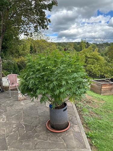 Growreport Bild 9