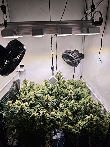 MVIMG_20251112_212254