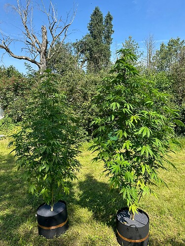 Growreport Bild 16