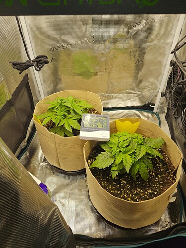 Growreport Bild 28