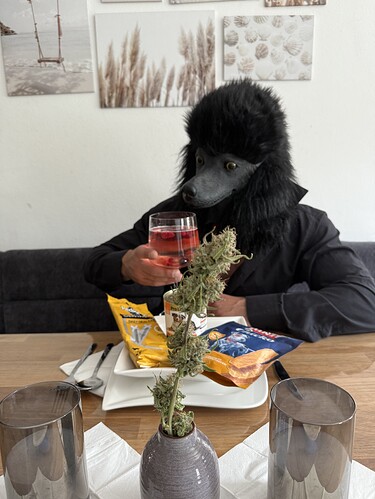 Growreport Bild 75