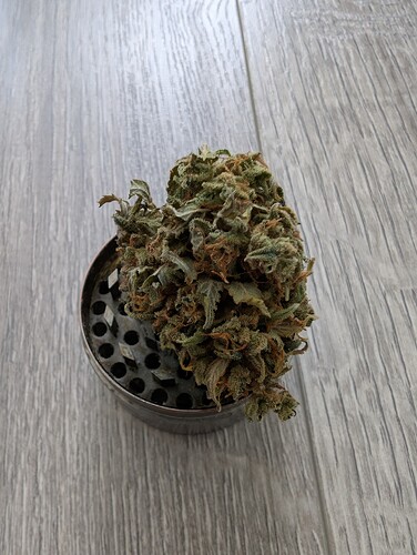 Growreport Bild 17