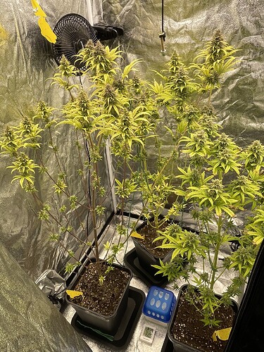 Growreport Bild 5