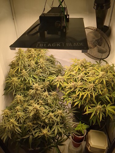 IMG_20240417_170536_951