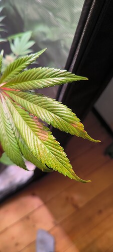 Growreport Bild 2