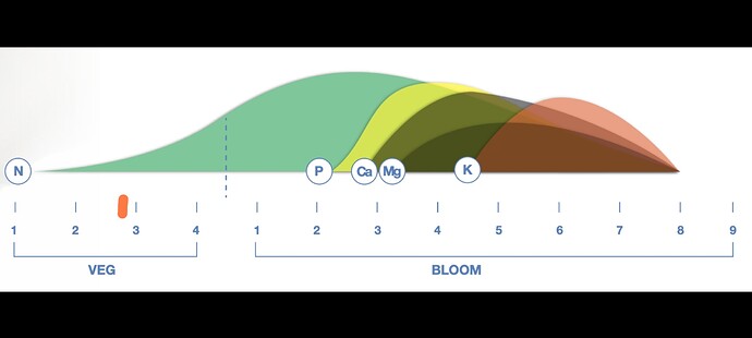 Screenshot_2024-06-12-20-19-22-667-edit_com.miui.gallery