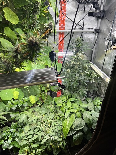 Growreport Bild 17