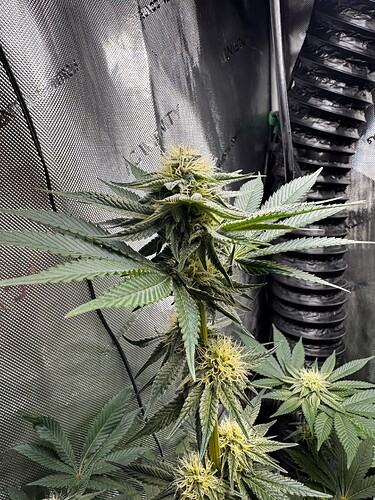 Growreport Bild 2