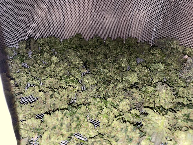 Growreport Bild 14
