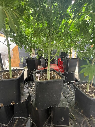 Growreport Bild 10