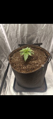 Growreport Bild 9