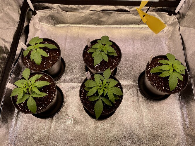 Growreport Bild 12