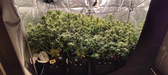 Growreport Bild 11