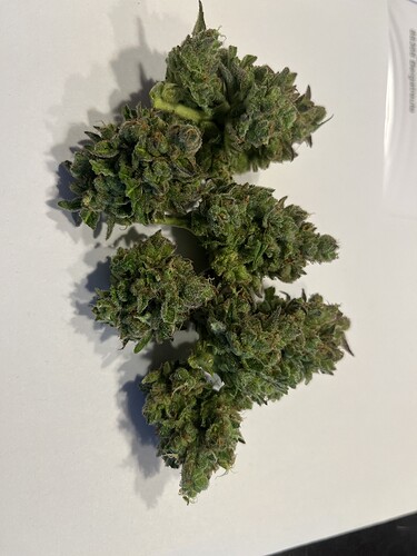 Growreport Bild 2