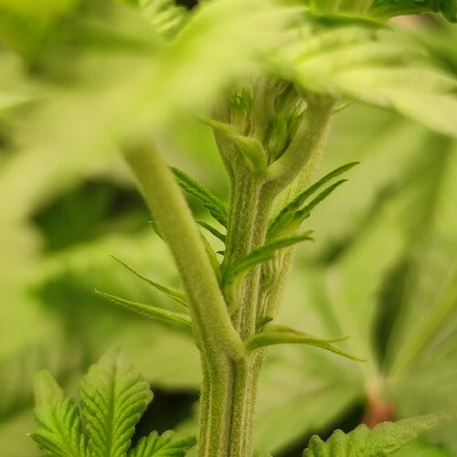 Growreport Bild 18