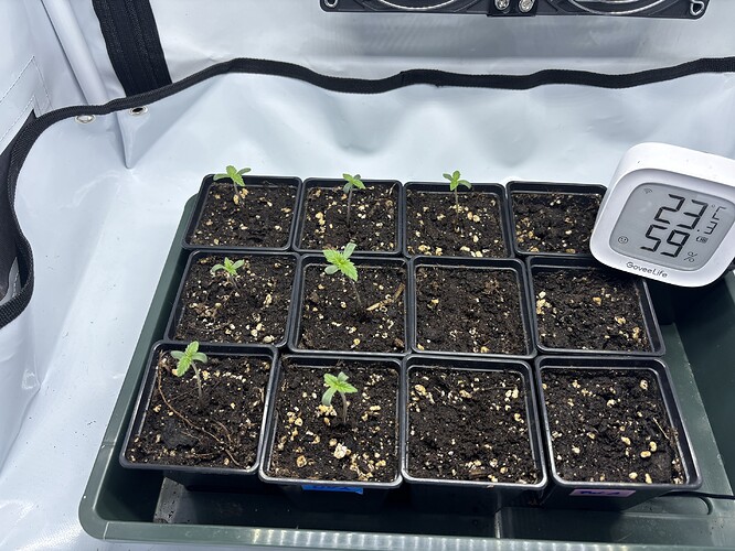 Growreport Bild 12