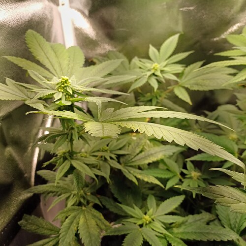 Growreport Bild 17