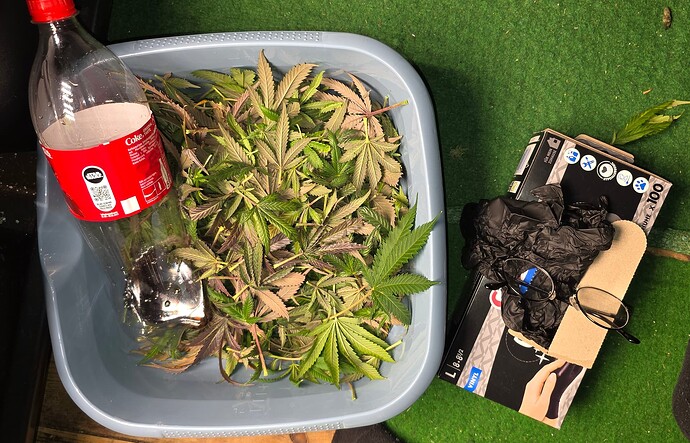 Growreport Bild 29