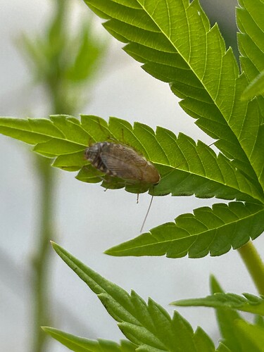 Growreport Bild 17