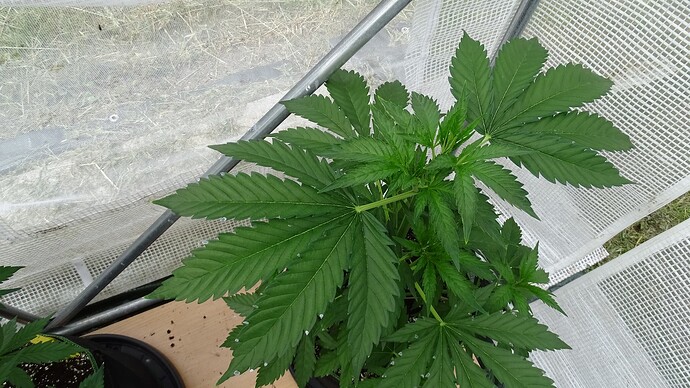 Growreport Bild 14