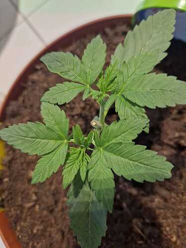 WhatsApp Image 2024-05-18 at 09.14.11 (2)