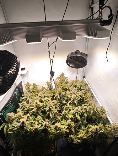 MVIMG_20251125_180344