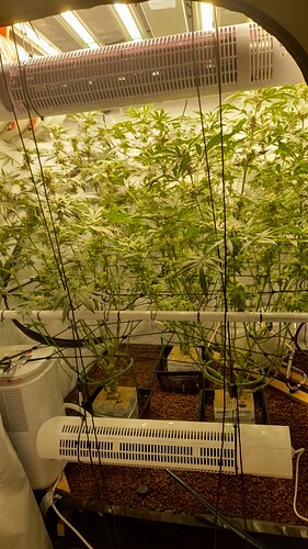 Growreport Bild 5