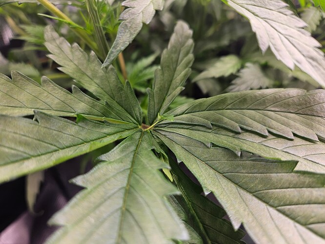Growreport Bild 11