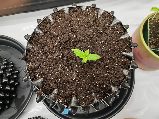 Growreport Bild 22