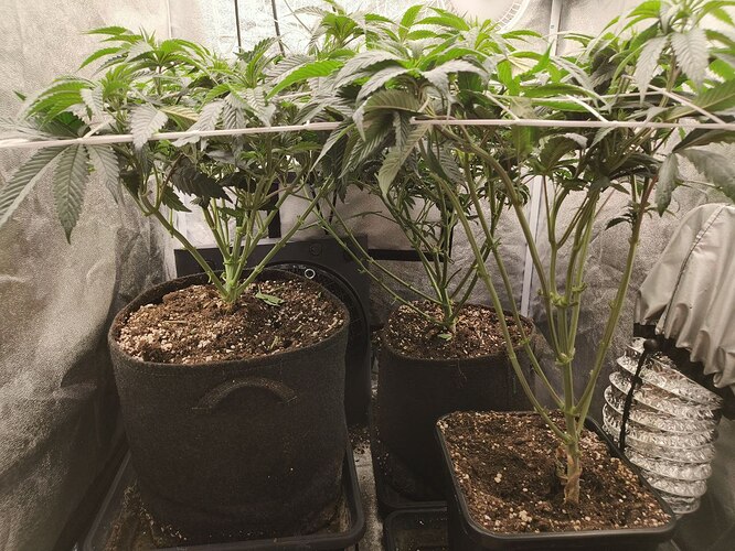 photo_5830397020781789193_y