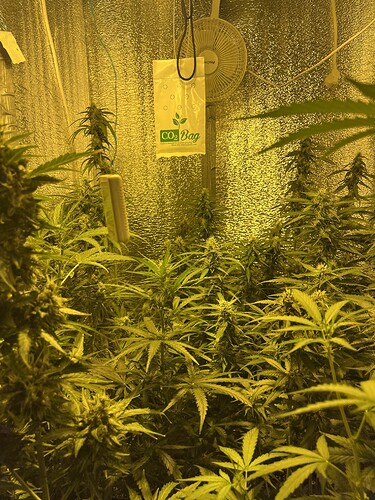 Growreport Bild 3