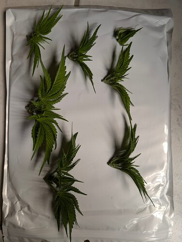 Growreport Bild 5