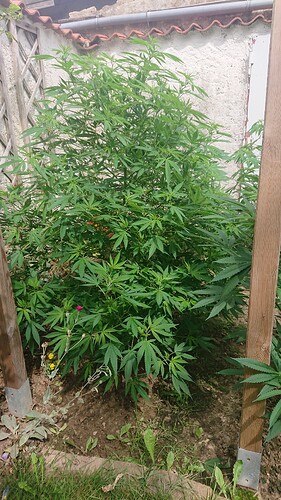 Growreport Bild 25