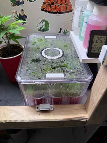 Growreport Bild 30