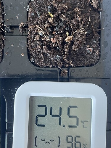 Growreport Bild 5