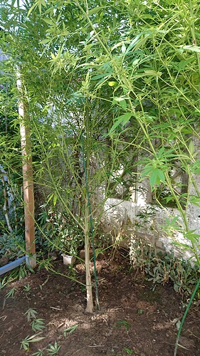 Growreport Bild 78