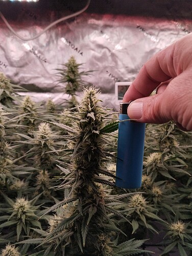 Growreport Bild 14