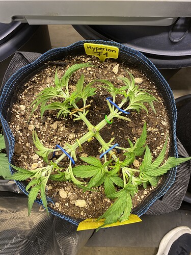 Growreport Bild 56