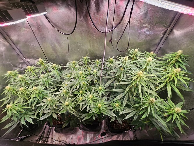 Growreport Bild 11