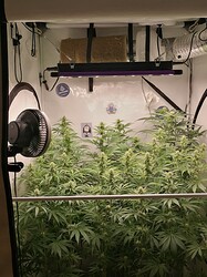 IMG_20240726_111516