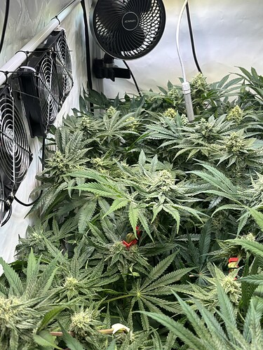 Growreport Bild 18