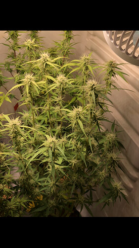Growreport Bild 12