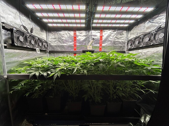 Growreport Bild 7
