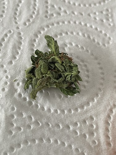 Growreport Bild 24