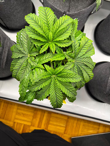 Growreport Bild 24
