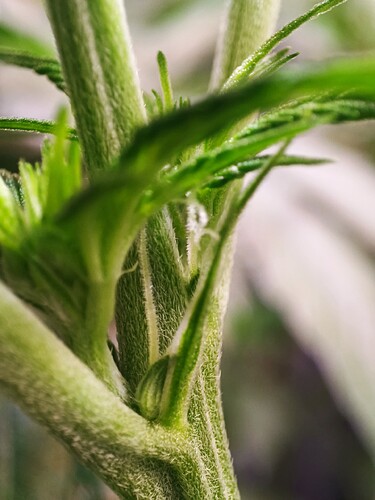 Growreport Bild 1